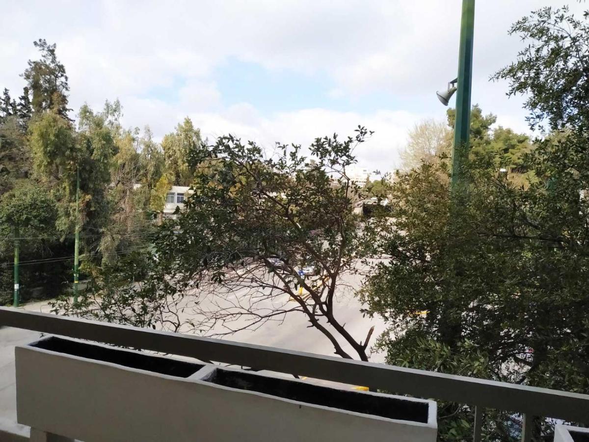 Fully Renovated, Family-Friendly Apartment, Next To A Huge Green Park, In Athens Center Atenas Exterior foto